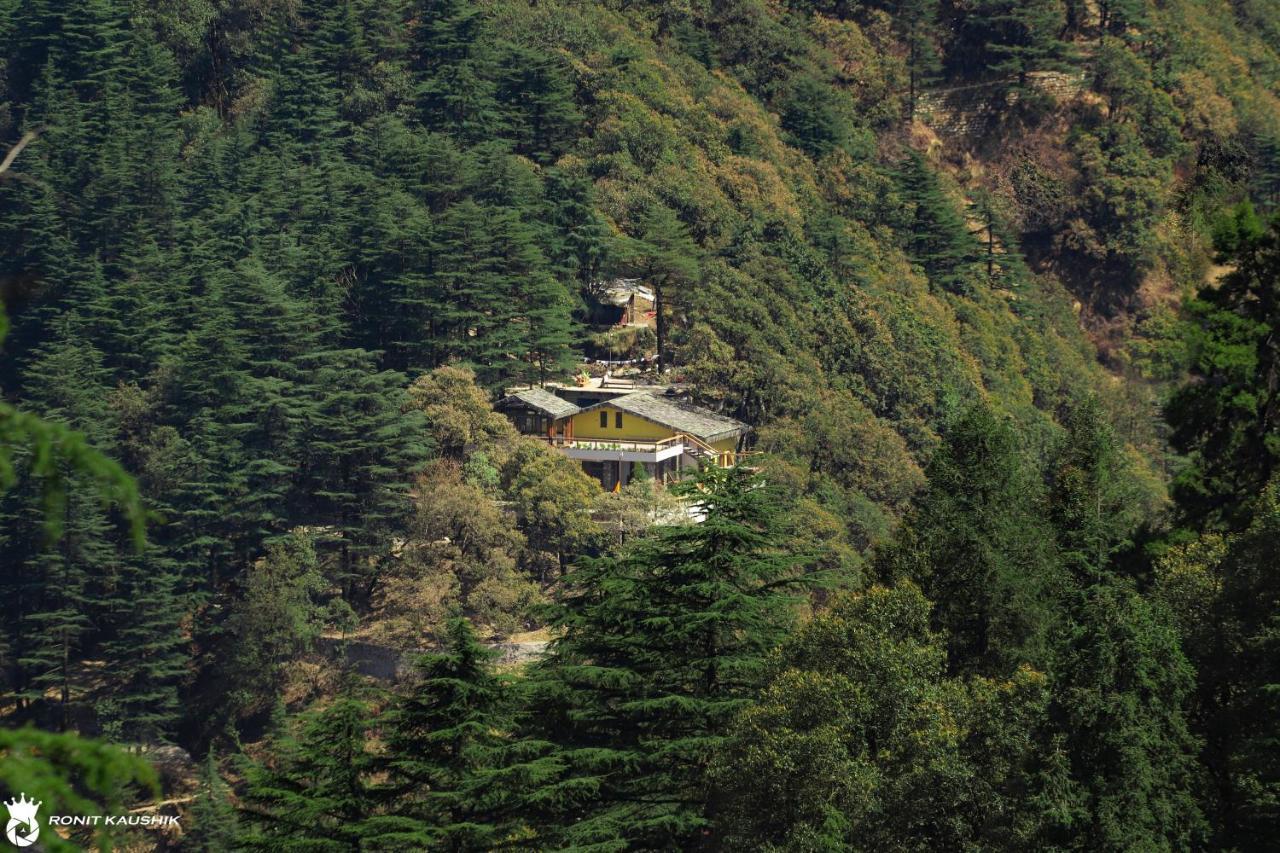 Rock Villa By Baaya Mussoorie Ngoại thất bức ảnh